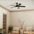 52'' Ceiling Fan with LED Lights-442598559