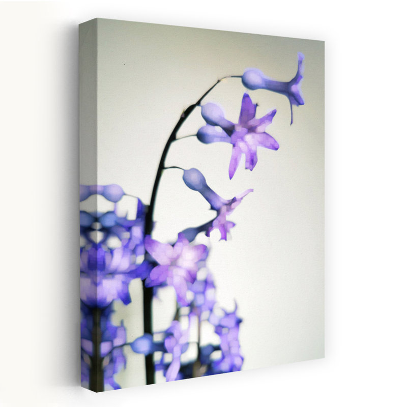 Contemporary Art Dreamy Elegant Hyacinth Nature Flower Wall Art by Angelo Cerantola - Wrapped Canvas Print