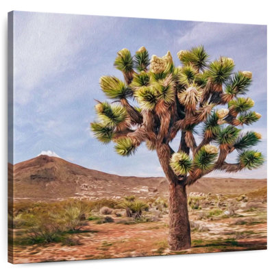 Alvord Joshua Tree In Mojave Desert