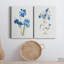 «Blue Blossom Botanical I», ensemble de 2 peintures sur toiles-595997907-595997910