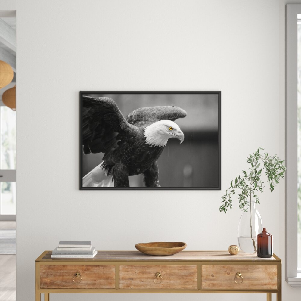 Gerahmtes Wandbild schÃ¶ner WeiÃŸkopfseeadler