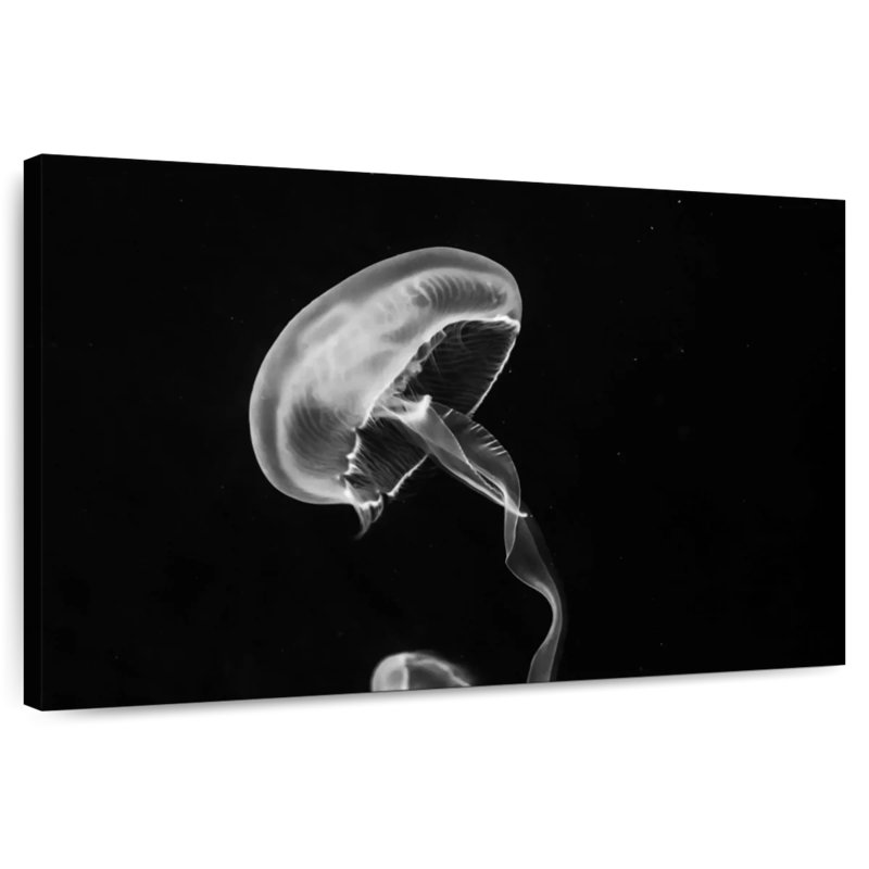 Brampt Jellyfish, 16" H x 24" W