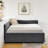 Full Size Upholstered Daybed, Grey Velvet, Two Drawers, Comfortable Fitting Body's Natural Shape, For Shoulder Relaxation, Vertical Stripe Pattern, Classic Style Bed Daybed With Storage Good Back-1569875472