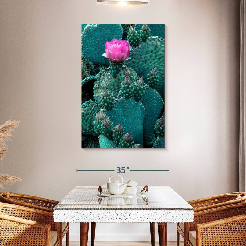 Harnek Beaver Tail Cactus, 48" H x 32" W