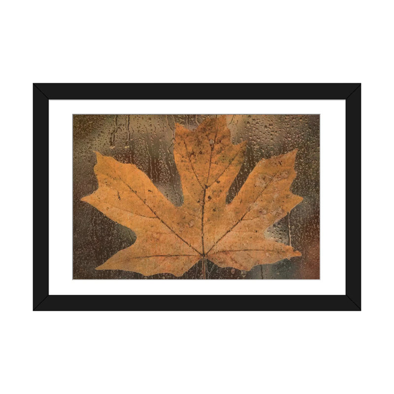 «Maple Leaf in the Rain» par Don Schwartz - reproduction de photo sur toile tendue, H 16 po x l 24 po x P 1 po, Blanc