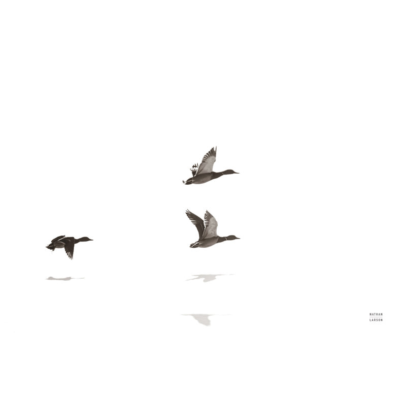 Three Departing Machine-Made Print , 8" H x 12" W  , No, Wrapped Canvas