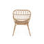 Chaise Harlem