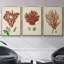 Ensemble de 3 toiles tendues Shell Collection-1798601472-1798601487
