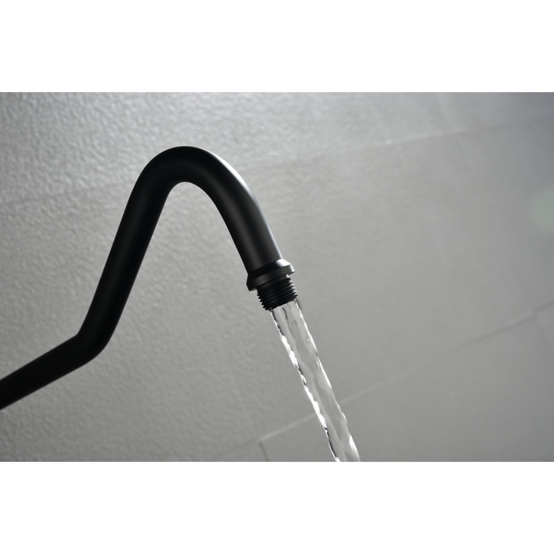 Bras de douche en acier inoxydable noir mat, solide et durable, installation de nettoyage simple, méthode de propreté sans effort