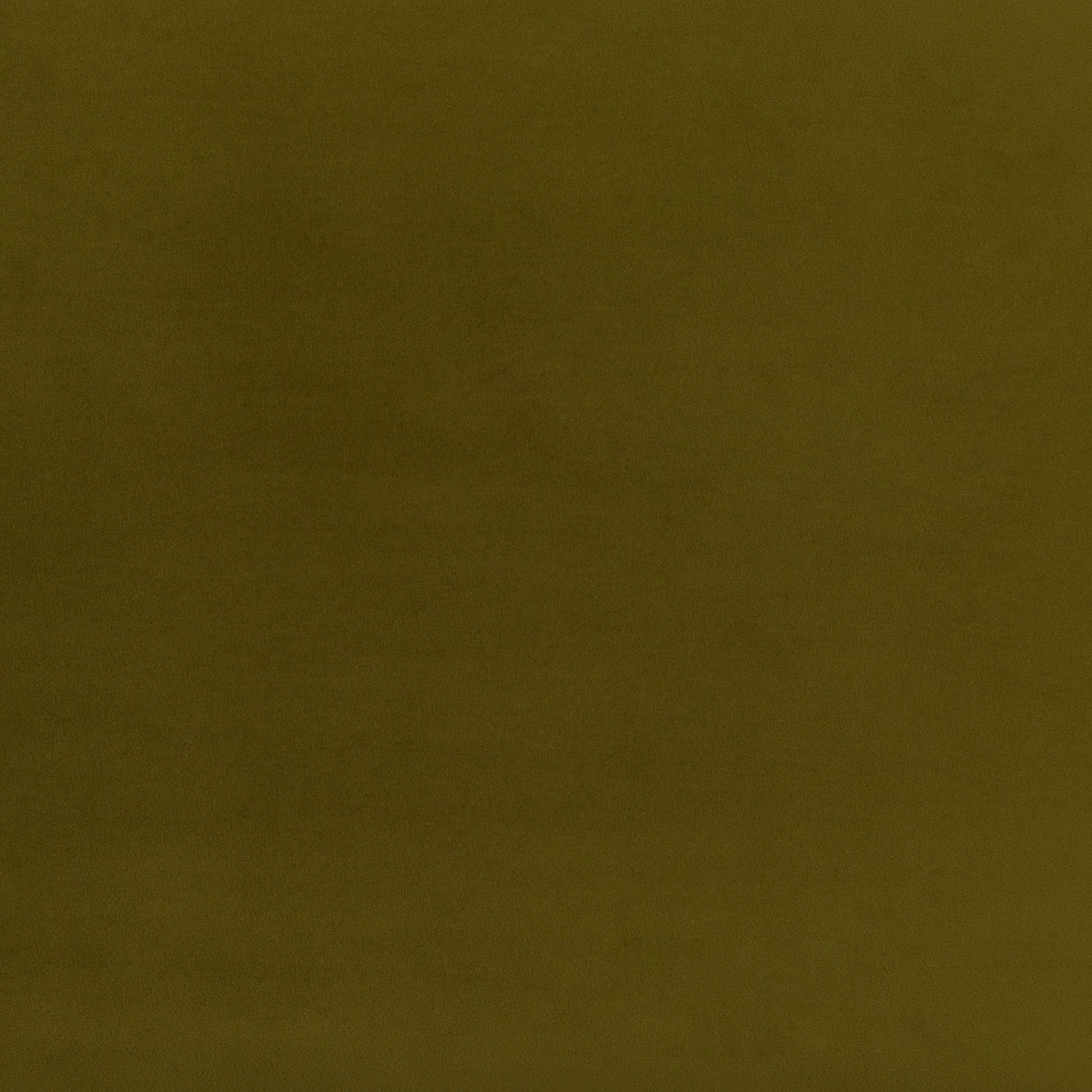 Bolivia Bench, Olive Green