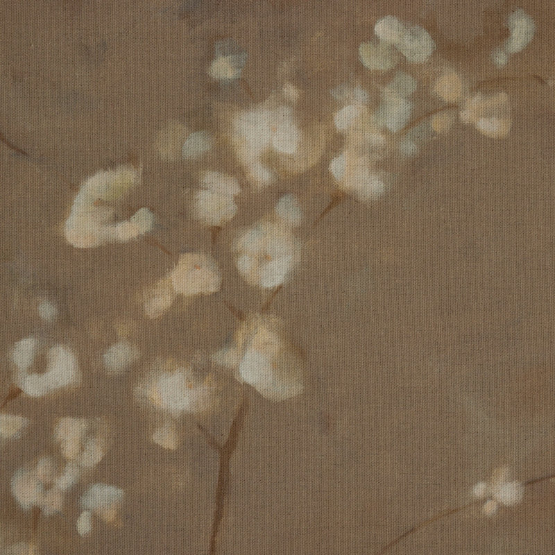 Sakura By Jess Engle, H 40" x W 30"