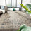Lydian Area Rug in Ivory