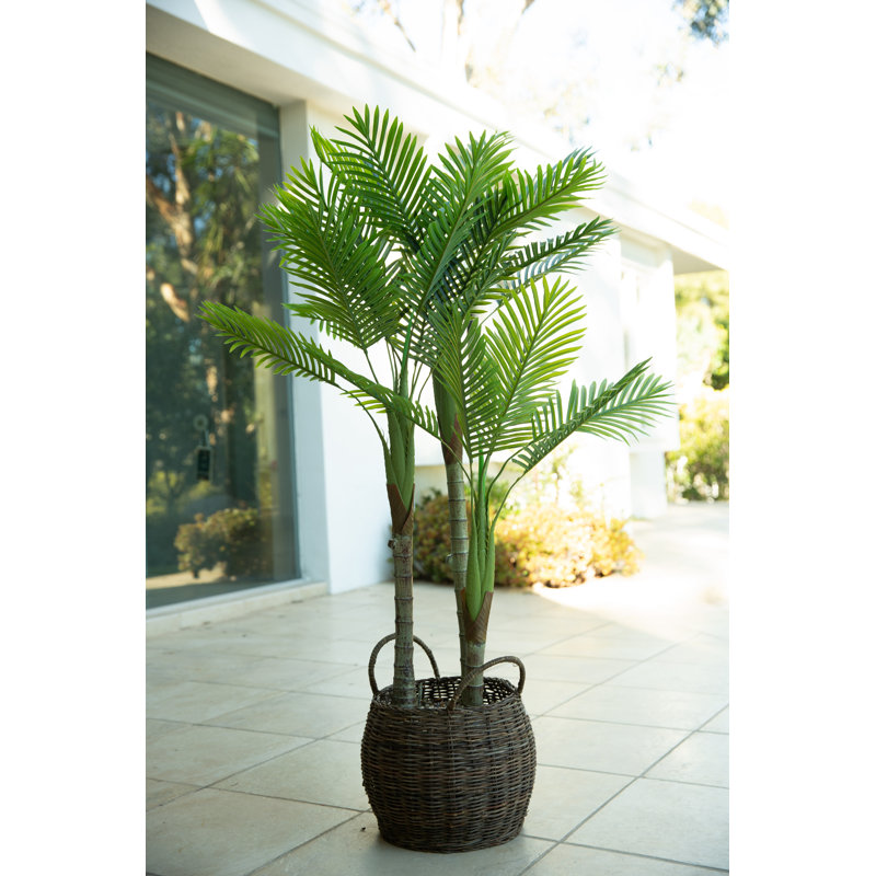 62'' Faux Palm Tree in Basket