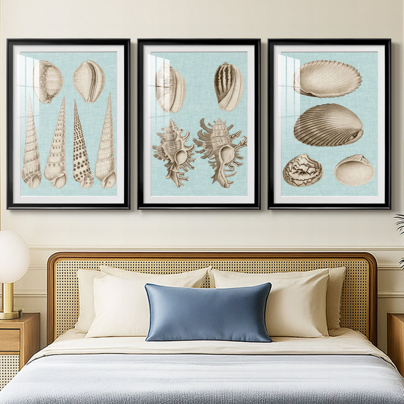 Sépia et coquillages aqua VI - reproduction encadrée sur mesure de qualité supérieure mate - 3 pièces, Noir