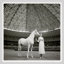 Model With Horse Giclee Print by Franco Rubartelli