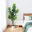 19 cm H Faux Plant-1133530390
