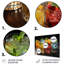 Colorful Cocktail Drinks II - Food & Beverage Metal Wall Decor Set