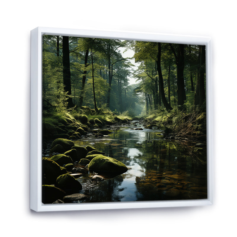 Rivière, forêt, trésor caché, paysage IV, Cadre flottant blanc, H 16 po x l 16 po x P 1 po