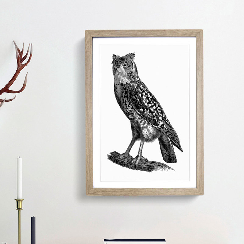 Egyptian Owl Illustration - Picture Frame Drawing Print, Oak Framed, 36cm H x 27cm W x 2cm D