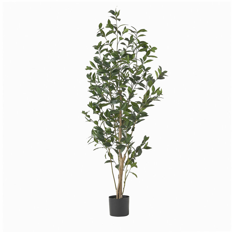 ARBRE DE LAURIER ARTIFIQUE 150CM 150CM, 64 po x 24 po