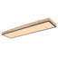 Tejal ceiling light