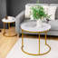 Ensemble de 2 tables basses gigognes pour salon
