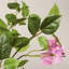 Bougainvillée artificiel