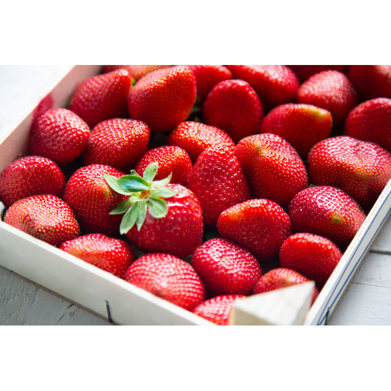 Fresh Strawberries - Photographie sur toile tendue, H 24 po x l 36 po