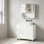 Freestanding Under Sink Cabinet