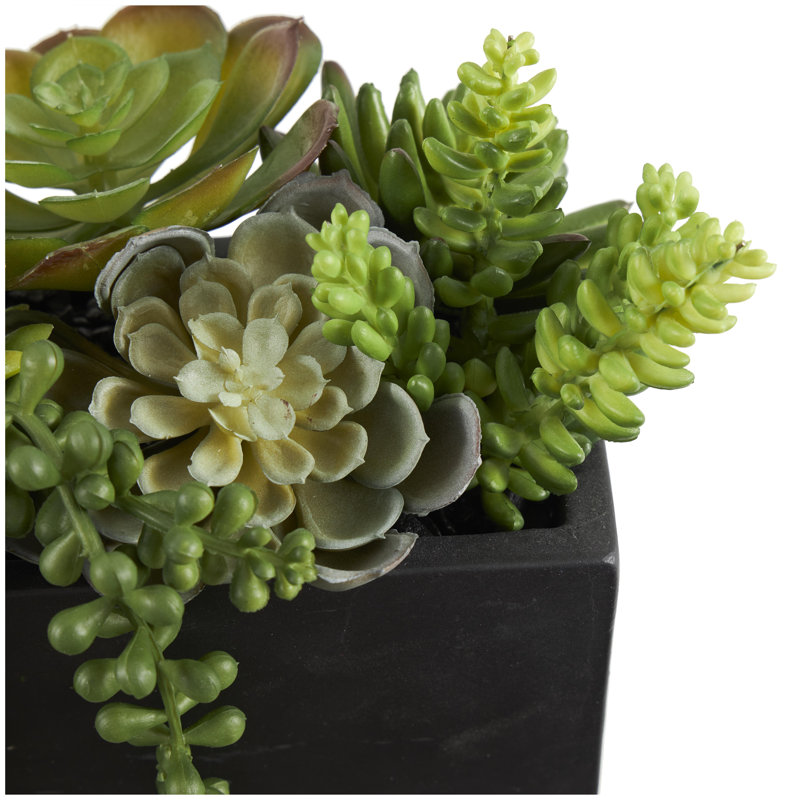 Herbe artificielle Lomba, H 7,50 po x l 13,85 po x P 6,65 po