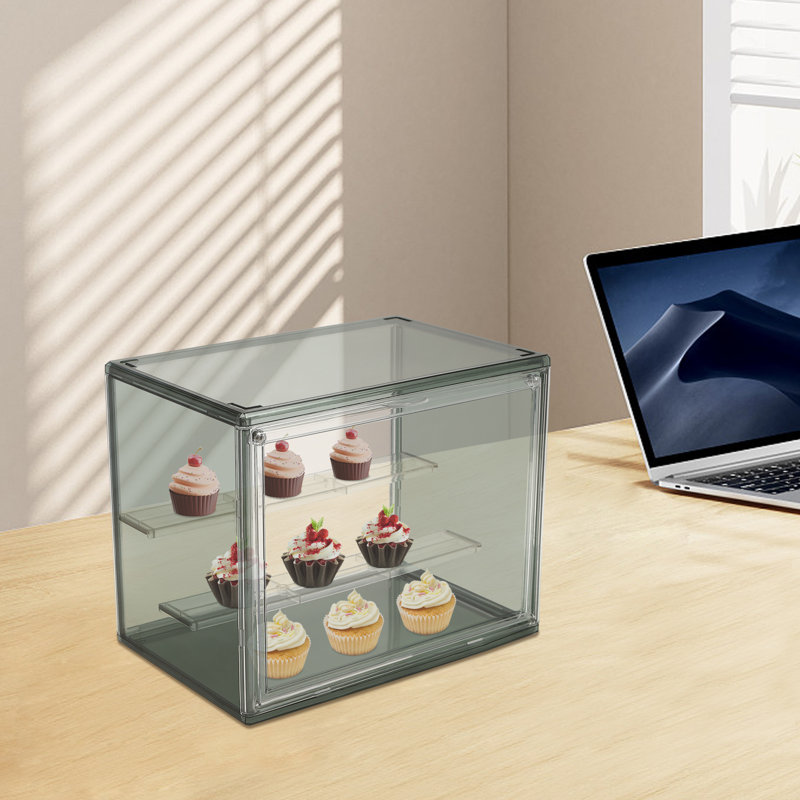 8.27'' H X 10.63'' W  Plastic Display Case, Green/Transparent