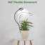 Naomi Grow Light