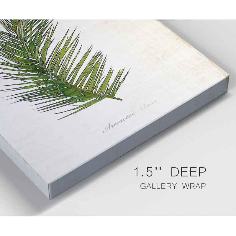 Palm Botanical II - impression sur toile tendue, H 12 po x l 8 po x P 1 po