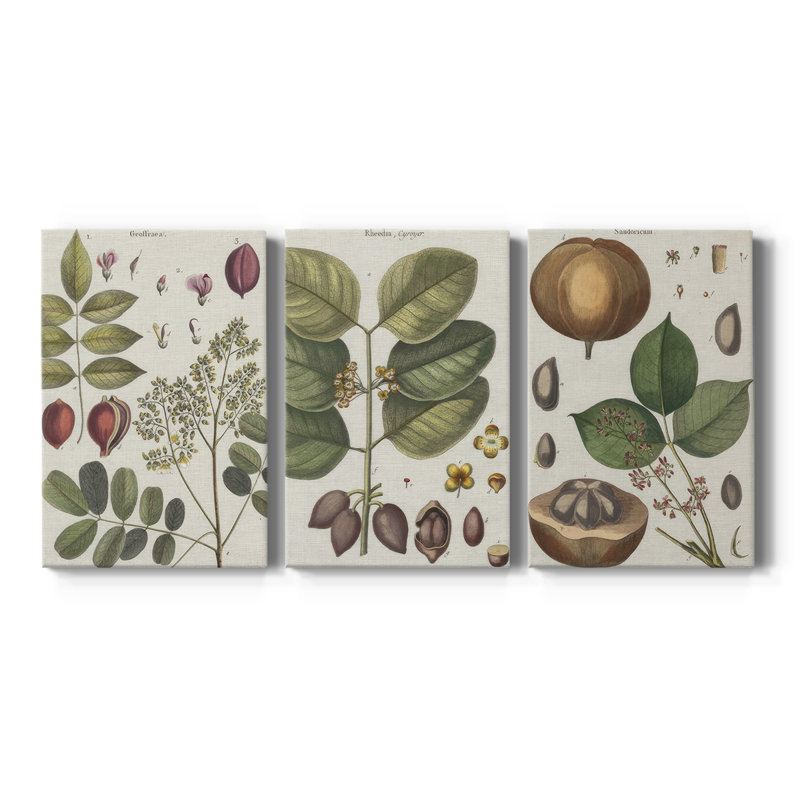 Exotic Botanique I - Toile tendue avec châssis sur mesure - 3 pièces, H 27 po x l 54 po