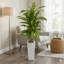 59 "Dracaena plante artificielle en pot blanc pour la décoration intérieure-1039447407
