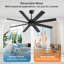 Ventilateur de plafond 8 pales avec télécommande-320108209-277424783