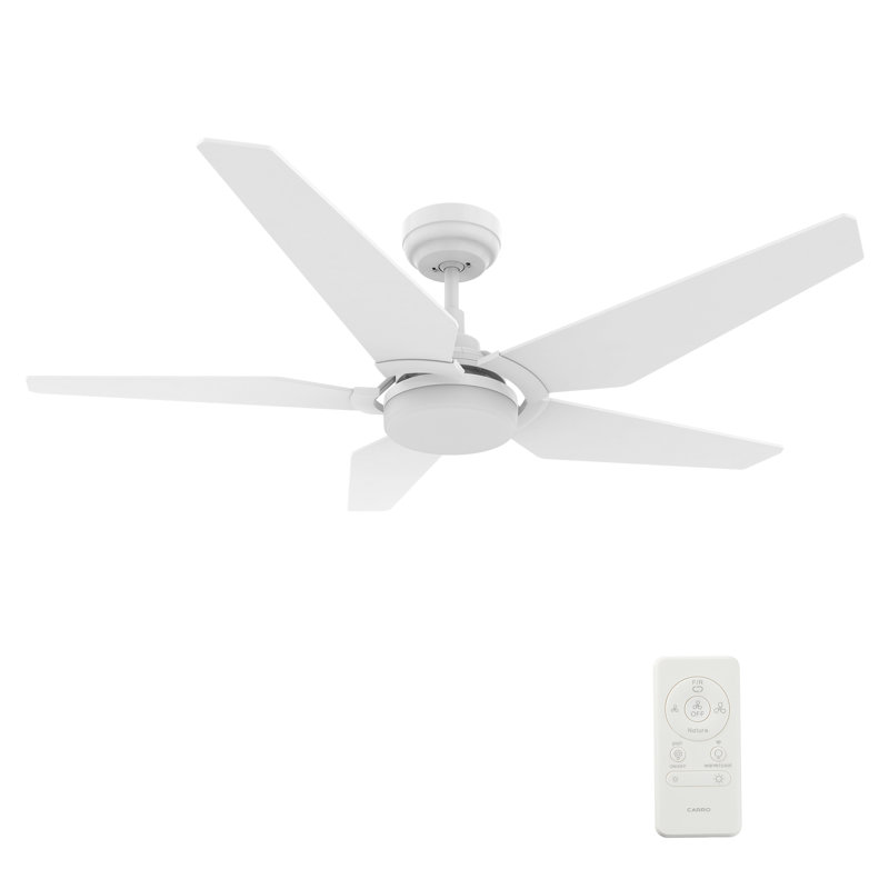 Ventilateur de plafond intelligent 52 po avec télécommande, ensemble d'éclairage inclus, fonctionne avec l'assistant Google et Amazon Alexa, raccourci Siri.
