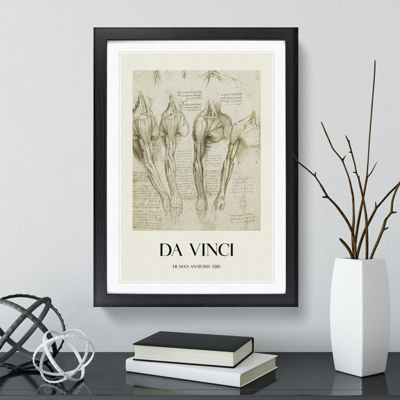 Human Anatomy Vol.8 by Leonardo Da Vinci - Picture Frame Drawing, 65cm H x 48cm W x 2cm D, Black Framed