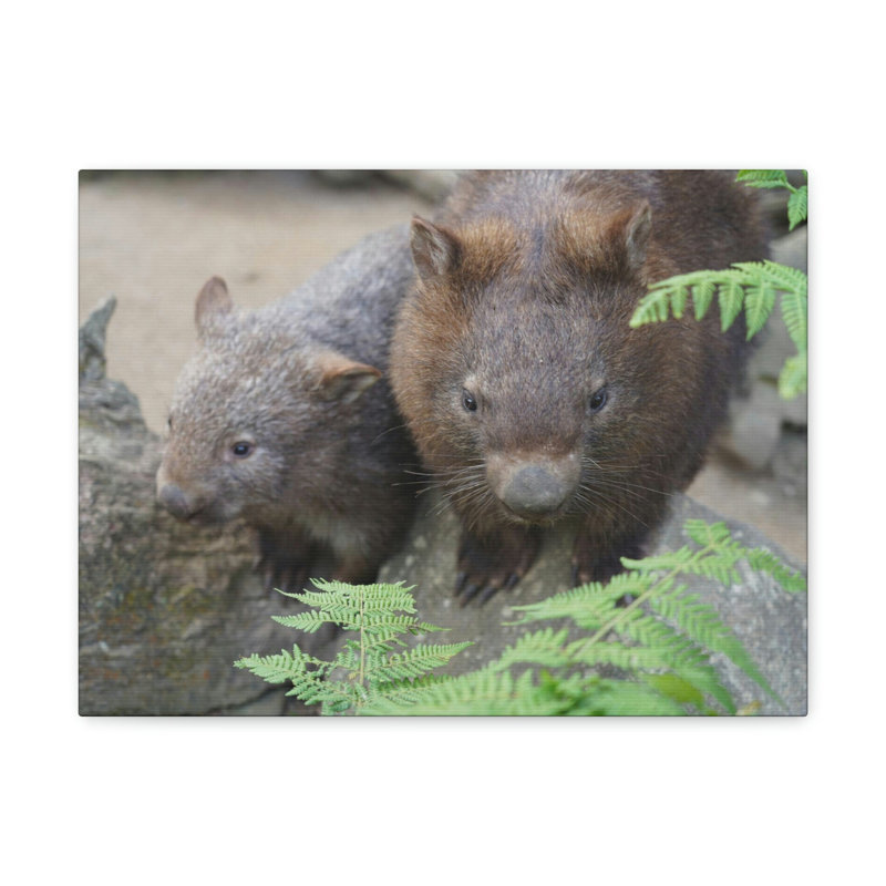 No Frame Print on Canvas, 27.94cm H x 35.56cm W