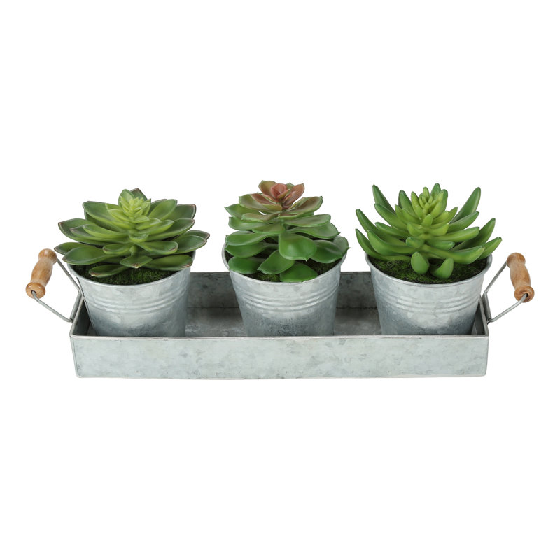 Artificial Plant