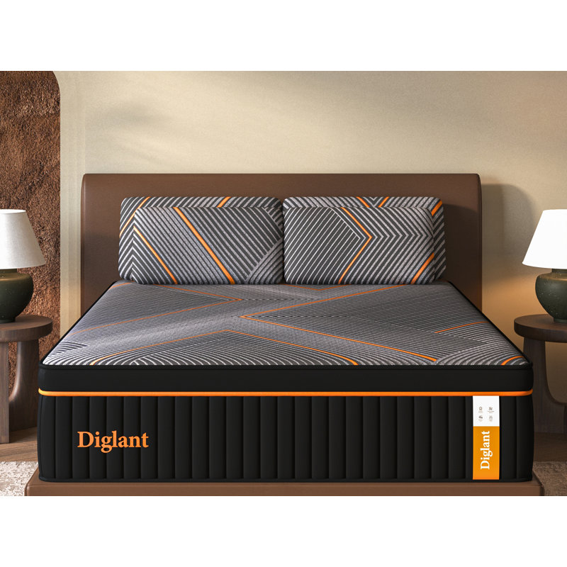 Matelas pour canapé-lit moelleux en mousse à mémoire de forme de 14 po Alwyn Home Perryman, Très grand californien