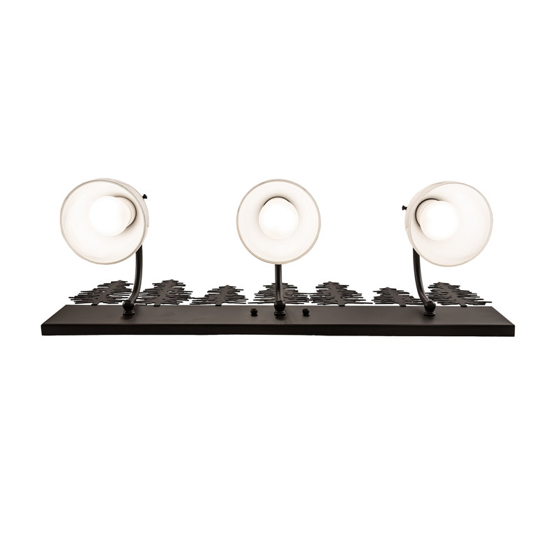 Vanity Light, Oil Rubbed Bronze, 13" H x 24" W x 8" D