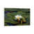 White Floater Frame