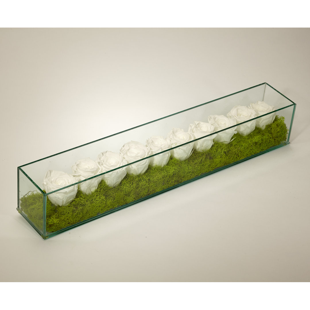 Preserved Rose Arrangement in Planter T&C Floral Company Flower 