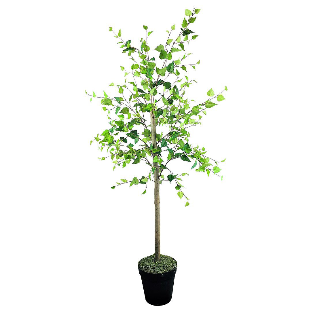 artificial potted birch trees