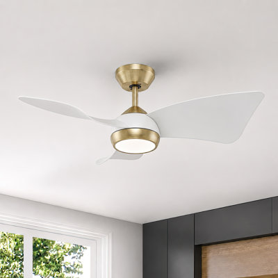 30" Ceiling Fan with Light & Remote for Small Rooms – Dimmable LED, Quiet DC Motor – Modern White Gold Ceiling Fan for Nursery, Small Bedroom & Kitchen