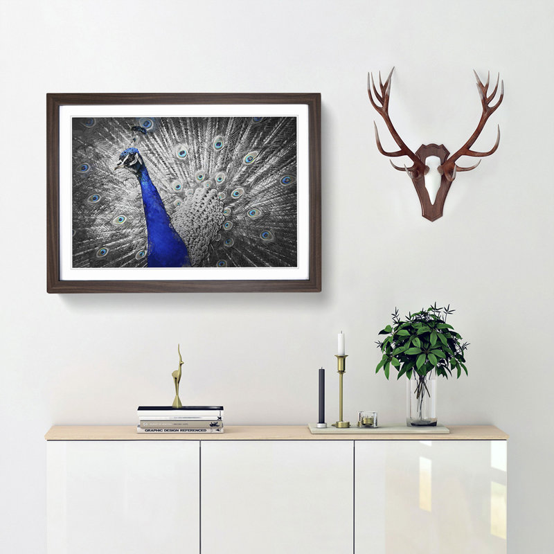 Peacock with Its Feathers Spread - Picture Frame Graphic Art Print, 36cm H x 48cm W x 2cm D, Walnut Framed