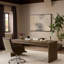 Salta Desk