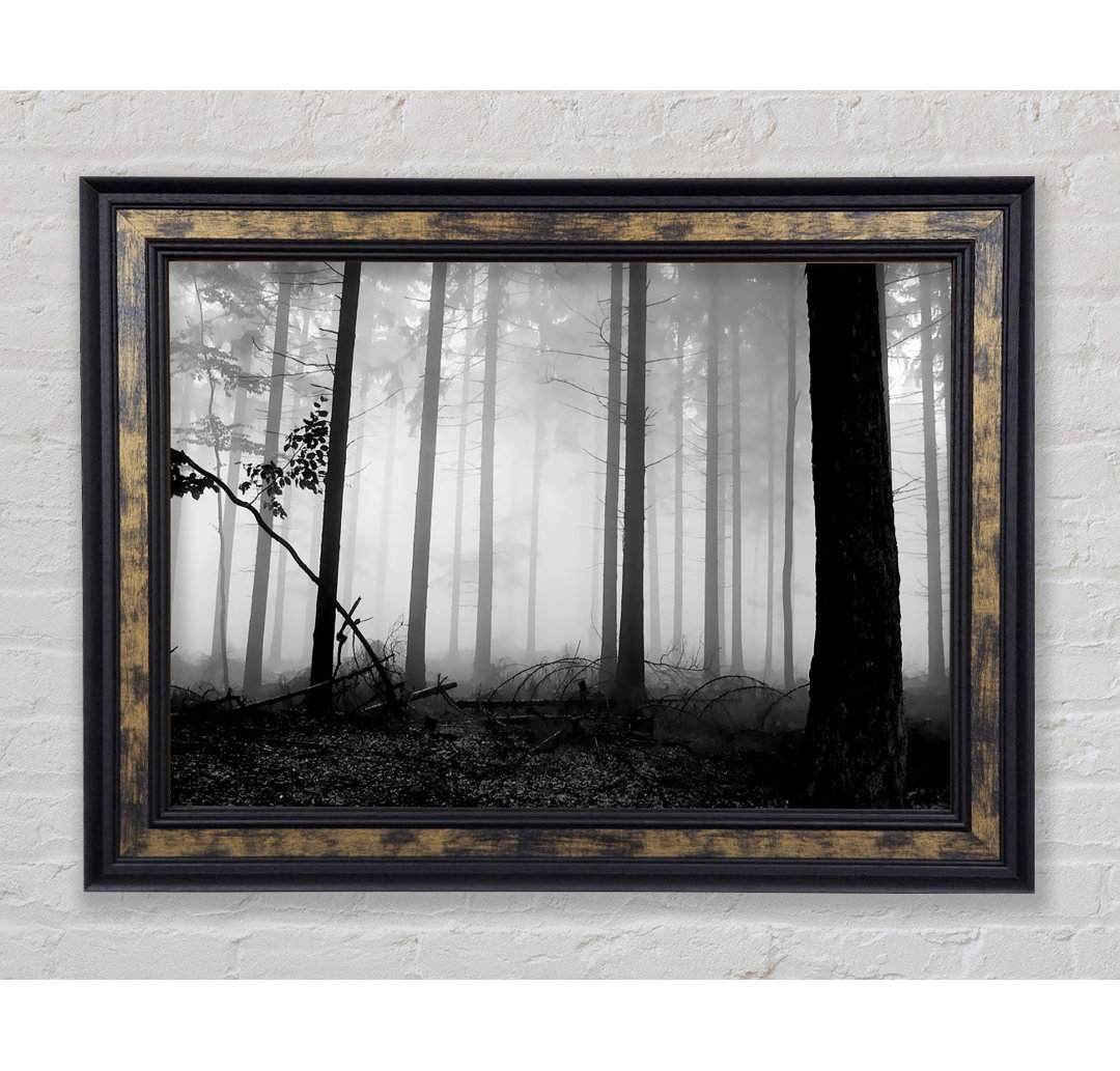 Black N White Woodland Mist - Einzelner Bilderrahmen Kunstdrucke