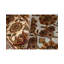 Wool Floral Area Rug